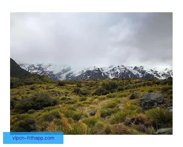 德国对阵新西兰足球比分直播聚焦赛事进程与关键看点解析全景呈现